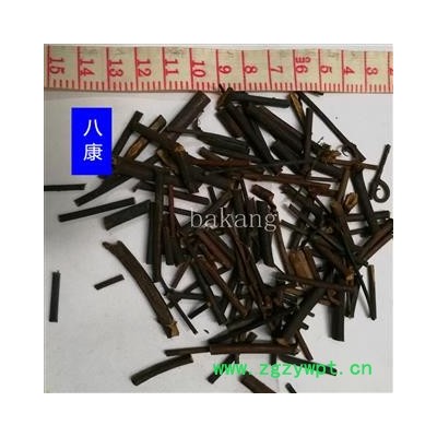 钩藤 01统 产地 江西省赣州市大余县