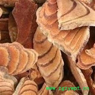 鸡血藤 01统 产地 云南省昭通市鲁甸县图3