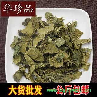 桑叶 01 桑叶 统 产地 福建省漳州市漳浦县图2