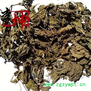 【99包邮】紫苏叶 统货 河北产【良心经营 品种齐全】图3