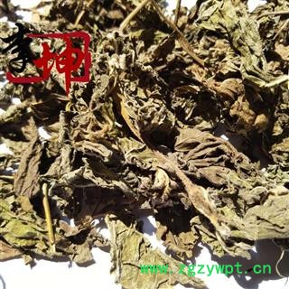 【99包邮】紫苏叶 统货 河北产【良心经营 品种齐全】图2