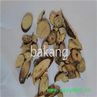 青风藤 统 产地 四川省泸州市图2