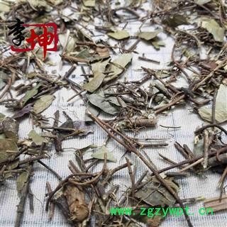 【99包邮】络石藤 统段 产地 湖北省 特价销售，售完为止！图3