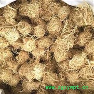 万信药业 淡竹茹 团球状 竹茹球 黄白色统货 今年新货 颜色好 无霉变 产地 浙江省图3