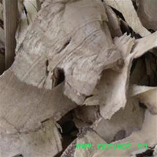 黄花倒水莲 统图2