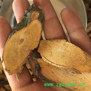 铁包金 老鼠耳 狗脚利 老鼠草 鼠乳头 乌金藤 黄柳根 乌石米 勾儿茶 乌龙根 华安堂图3