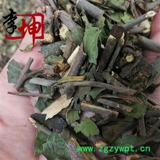 【99包邮】桑寄生 寄生 正宗桑寄生 四川产 统货【良心经营 品种齐全】图2