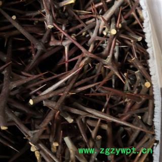 野生皂角刺 纯刺无杆 产地 河南省平顶山市汝州市图3