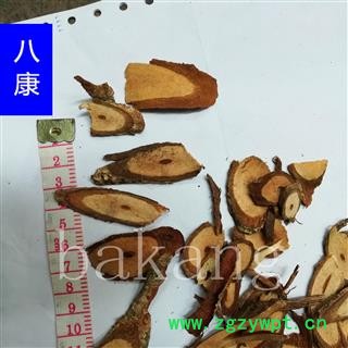 五香血藤 统图3