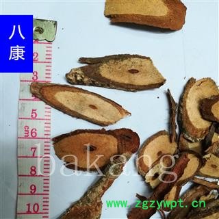 五香血藤 统图2