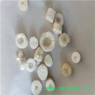 通草 厚片 产地 山西省晋城市图2