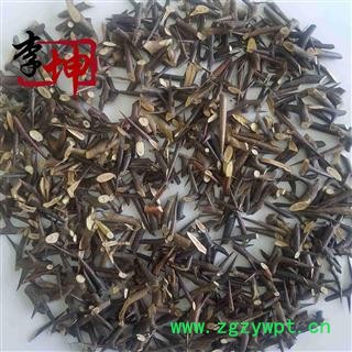 【99包邮】皂角刺 老刺 天丁 正品 过药检【良心经营 品种齐全】图3