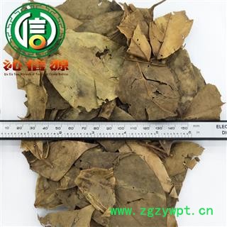 【满包邮】七叶莲叶统货散装广西产地直供鹅掌藤 七加皮 汉桃叶 七叶藤 龙爪叶 龙爪树沁信源中药材批发图2