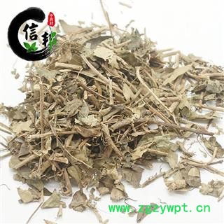 常春藤土鼓藤钻天风三角风散骨风枫荷梨藤产地广西专注品质，诚信信邦！图4