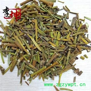 【99包邮】寄生 统段 干净 扁枝槲寄生 桑寄生【良心经营 品种齐全】图2