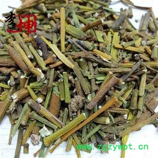 【99包邮】寄生 统段 干净 扁枝槲寄生 桑寄生【良心经营 品种齐全】图3