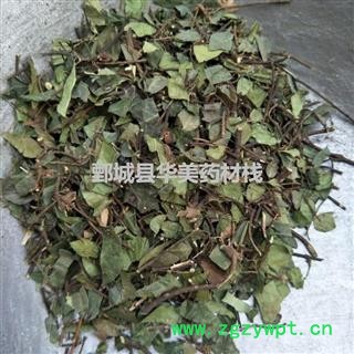 络石藤 统货 产地 四川省 华美中药图2