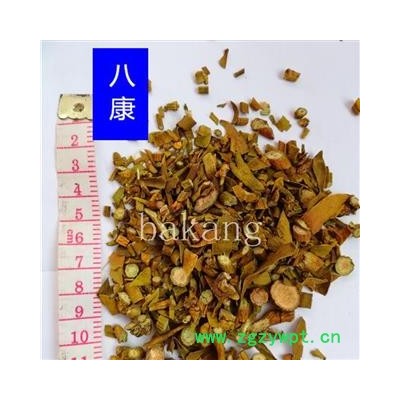 槲寄生 统 产地 黑龙江省鹤岗市兴安区