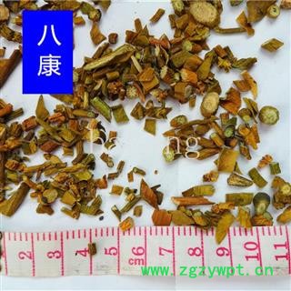 槲寄生 统 产地 黑龙江省鹤岗市兴安区图2