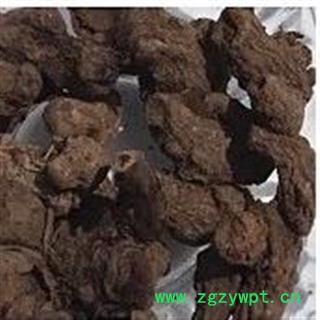 小丽百草行中草药马尾参 落新妇 铁火钳虎麻 红升麻小升麻图2