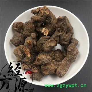 落新妇B 红升麻统 产地 湖北省图2