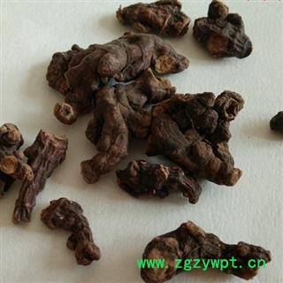 圣草康园马尾参 落新妇 铁火钳虎麻 红升麻小升麻图2