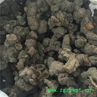 中药材落新妇 小升麻 马尾参 山花七 铁火钳 红升麻图3