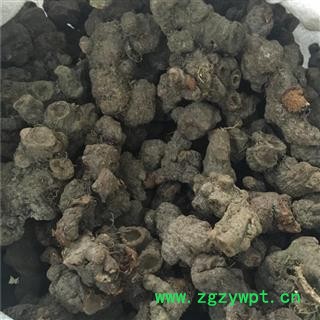 中药材落新妇 小升麻 马尾参 山花七 铁火钳 红升麻图4