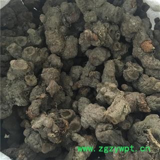 中药材落新妇 小升麻 马尾参 山花七 铁火钳 红升麻图2