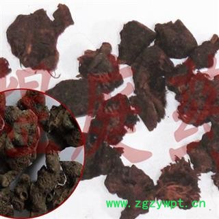 煜庭药业 落新妇 术活 马尾参 小升麻 红升麻、马尾参、野开麻、虎麻图2