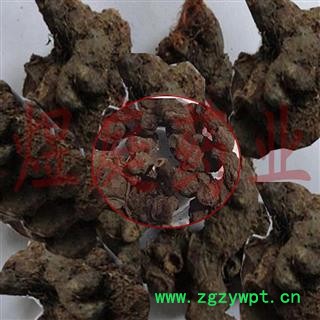 煜庭药业 落新妇 术活 马尾参 小升麻 红升麻、马尾参、野开麻、虎麻图4