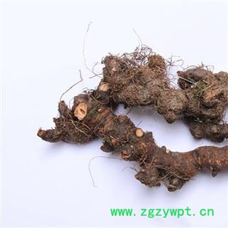 落新妇 落新妇 统货 产地 湖北省图2