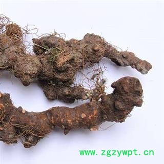 落新妇 落新妇 统货 产地 湖北省图3