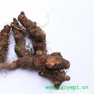 落新妇 统货 产地 湖北省 凯捷中药图3