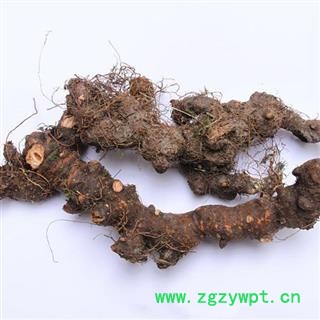 落新妇 统货 产地 湖北省 凯捷中药图2