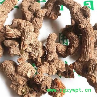 吉康药业落新妇 小升麻 术活 马尾参红升麻新货颜色好量大从优图3