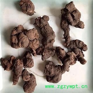 瑞森药材行落新妇  马尾参 小升麻 络新妇 红升麻图2