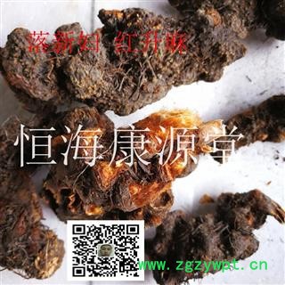 恒海康源堂升麻 落新妇 红升麻图3