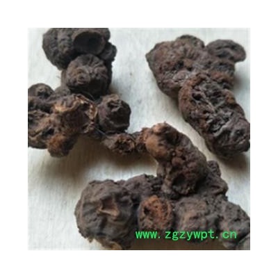 安祁名药正品落新妇