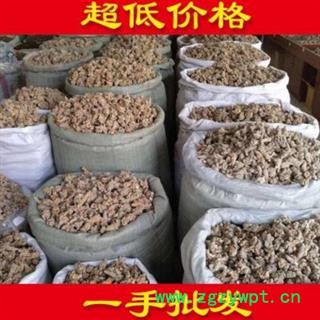 【振兴药材】中药材批发供应【三七芽】【重在品质】图3