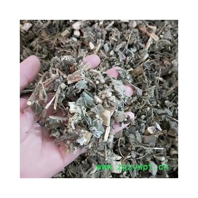 诺源药材行中药材中药材艾纳香 大风艾 牛耳艾 大风叶 紫再枫 大枫草