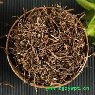 中药材白花蛇舌草白花蛇草半枝莲铁树叶新货图2