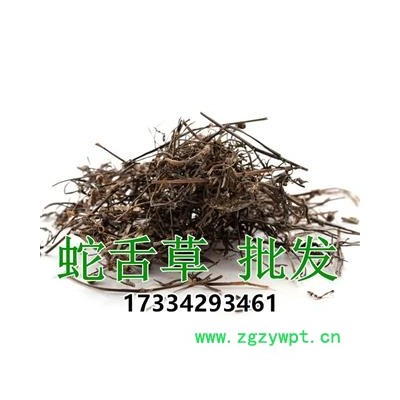 蛇舌草  农家白花蛇舌草 竹叶菜 蛇利草 中草药材