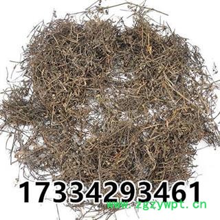 蛇舌草  农家白花蛇舌草 竹叶菜 蛇利草 中草药材图4