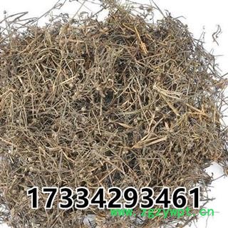 蛇舌草  农家白花蛇舌草 竹叶菜 蛇利草 中草药材图3