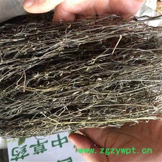 广西壮乡中草药 野生 正品 方梗 白花蛇舌草 产地 广西柳州图2