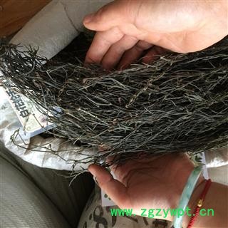 广西壮乡中草药 野生 正品 方梗 白花蛇舌草 产地 广西柳州图3