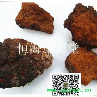 恒海康源堂白桦茸 块  颗粒 产地 黑龙江省鹤岗市图2