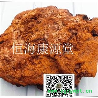 恒海康源堂白桦茸 块  颗粒 产地 黑龙江省鹤岗市图3