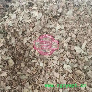 矮地茶 平地木 净货 产地 四川省图3